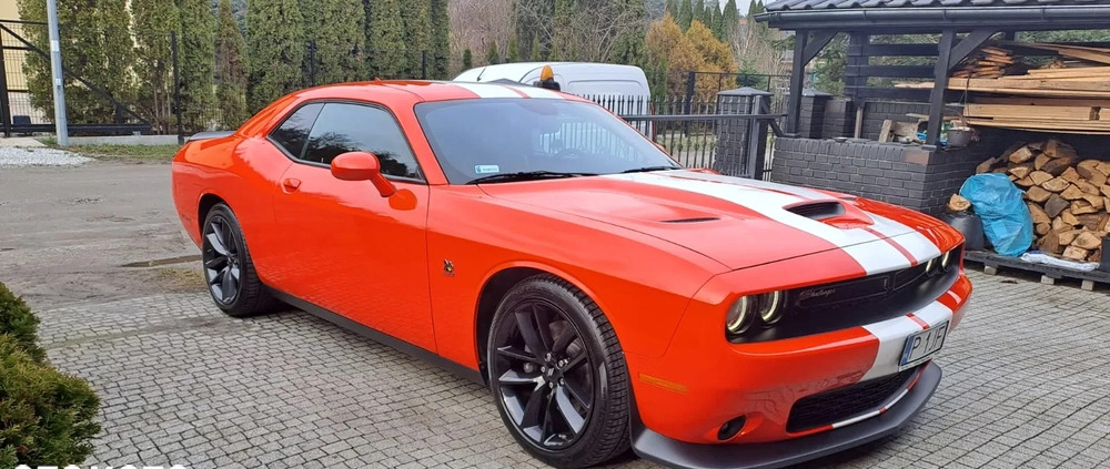 Dodge Challenger cena 225000 przebieg: 33000, rok produkcji 2019 z Karlino małe 67